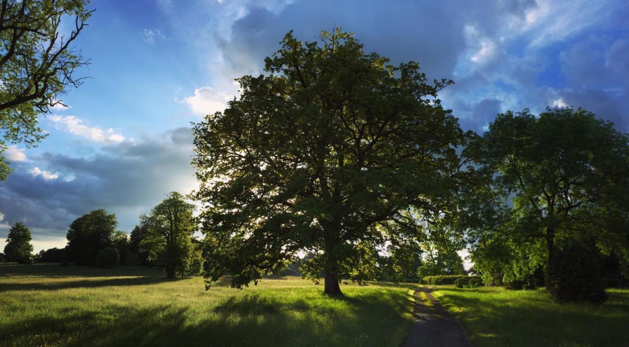 La Tiny Du Parc : Saint Symphorien Des Monts Villa Ernée Exteriör bild